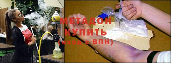 прущие грибы Алексеевка