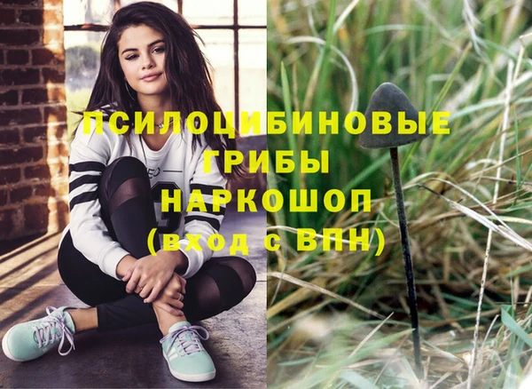 хмурый Алзамай