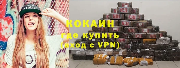 хмурый Алзамай