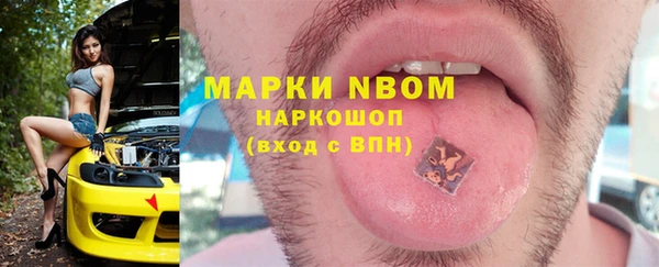 хмурый Алзамай