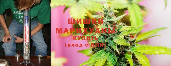 хмурый Алзамай