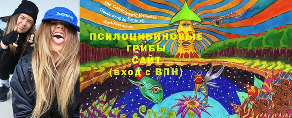 хмурый Алзамай