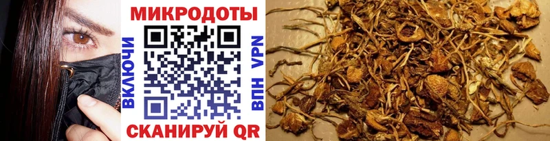 Псилоцибиновые грибы MAGIC MUSHROOMS  ОМГ ОМГ как зайти  Анадырь  где можно купить наркотик 